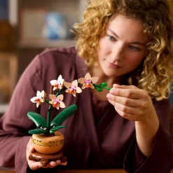 Botanicals 10343 - Mini Orchidée