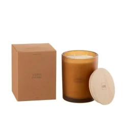 Bougie Parfumée Accords Essentiels 14cm Ambre Intime