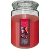 Bougie Parfumée en Verre Couvercle 510g Fruits Rouges