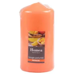 Bougie Pilier Design Essentiel 11cm Mangue