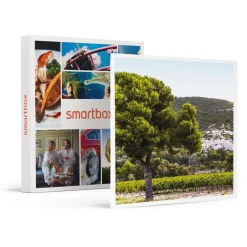 Box œnologie : 6 bouteilles de vin rosé livrées à domicile - Coffret Cadeau Gastronomie