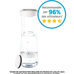 BRITA Bouteille filtrante blanche inclus 1 filtre MicroDisc
