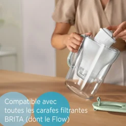 BRITA Pack de 6 cartouches filtrantes MAXTRA PRO All-in-1