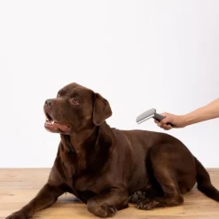 Brosse pour Chien & Chat Sous Poils 16cm Gris