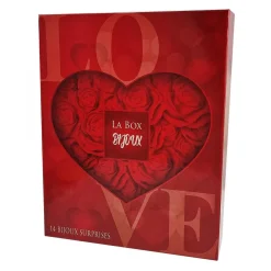 Calendrier de l'avent SC Crystal - 13 bijoux et 1 montre