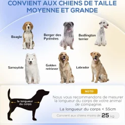 Canapé chien lit pour chien chat design contemporain dim. 101L x 62P x 34H cm coussin moelleux velours beige