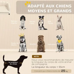 Canapé chien lit pour chien chat design contemporain coquillage dim. 98L x 60l x 35H cm coussin moelleux velours crème