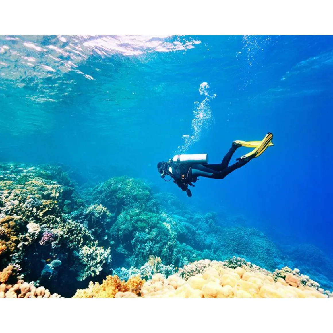 Carte cadeau Aventure - 150 € - Coffret Cadeau Multi-thèmes