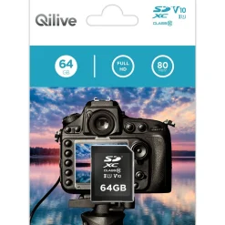 Carte mémoire SDXC V10 64 Go