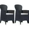 Chaises de jardin lot de 2 avec coussin Anthracite Plastique