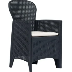 Chaises de jardin lot de 2 avec coussin Anthracite Plastique