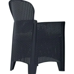 Chaises de jardin lot de 2 avec coussin Anthracite Plastique