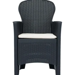 Chaises de jardin lot de 2 avec coussin Anthracite Plastique