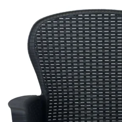 Chaises de jardin lot de 2 avec coussin Anthracite Plastique