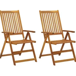 Chaises inclinables de jardin lot de 2 et coussins Bois acacia