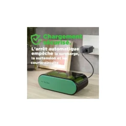 Chargeur secteur UNIVERSEL USB - B631