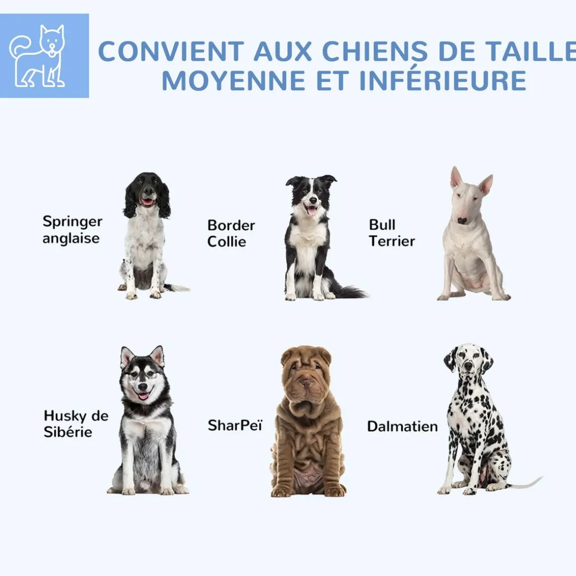 Chenil pour chien entièrement couvert - enclos chien - dim. 210L x 185l x 120H cm - porte verrouillable - acier galvanisé gris