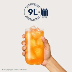 Concentré à soda Orange