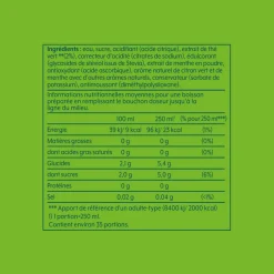 Concentré pour soda Green Ice Tea Menthe