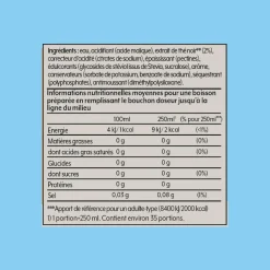 Concentré pour soda Ice Tea Pêche Zéro