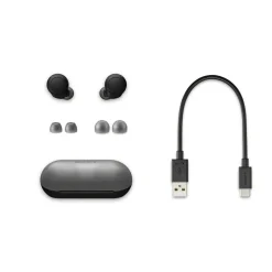 Écouteur sans fil WF-C500 - Noir