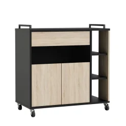 Desserte micro ondes 2 portes 1 tiroir à roulettes L39,6 x P78,4 x H79 cm TERRA