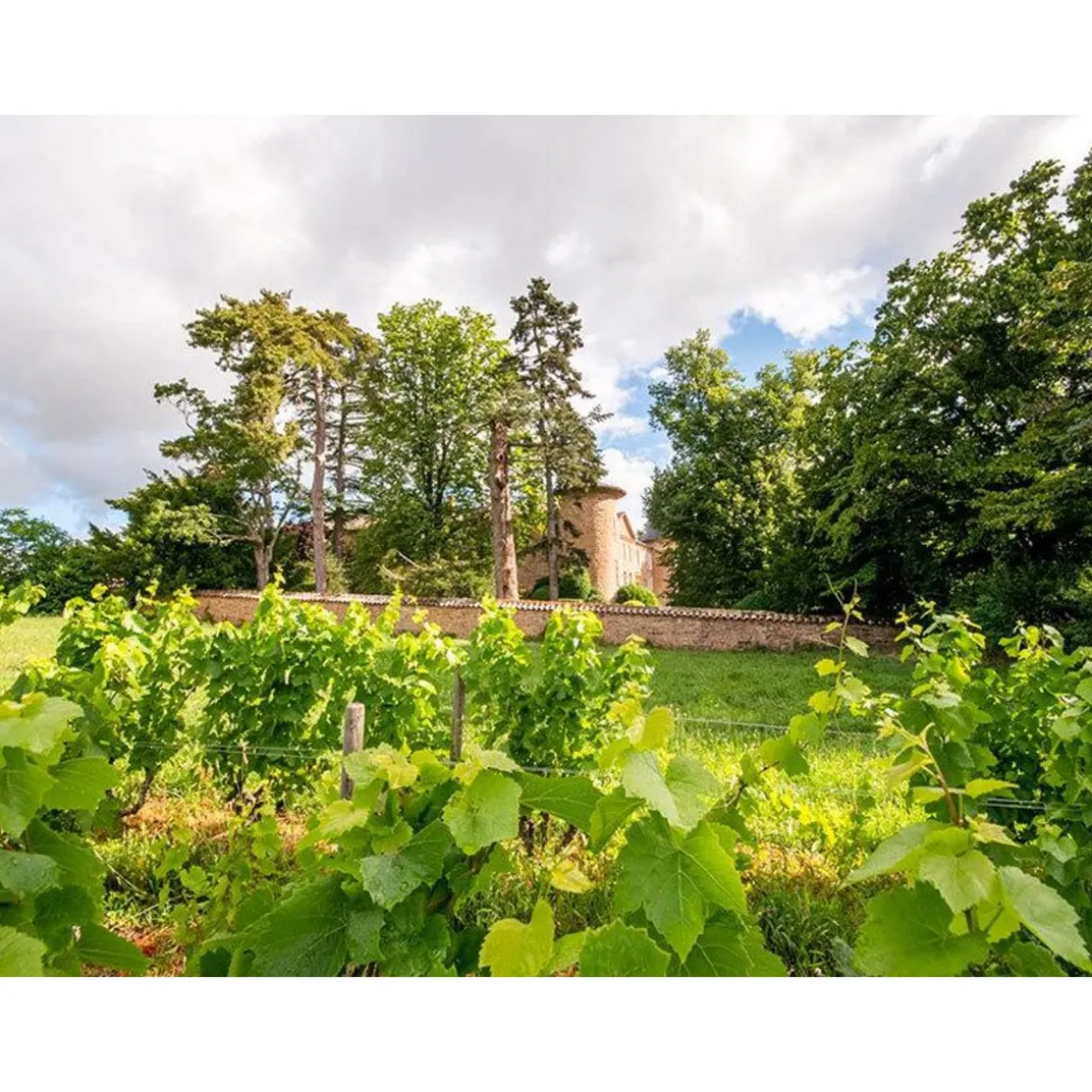 Dégustation de 4 cuvées, balade et pique-nique pour 2 dans les jardins d'un château du Beaujolais - Coffret Cadeau Sport & Aventure