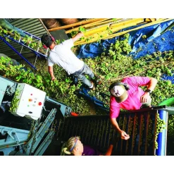 Dégustation de bières et visite d'une brasserie solidaire près de Nantes - Coffret Cadeau Sport & Aventure