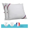 DODO Lot de 2 oreillers Tendance - 60 x 60 cm - Garnissage 100% Polyester fibre creuse siliconee - Blanc