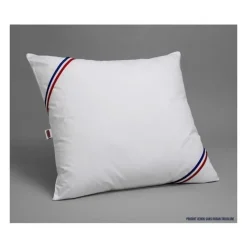 DODO Pack 2 oreillers tendance 60x60cm + 2 protege oreillers imperméable 60x60 cm - Garnissage 100% Polyester