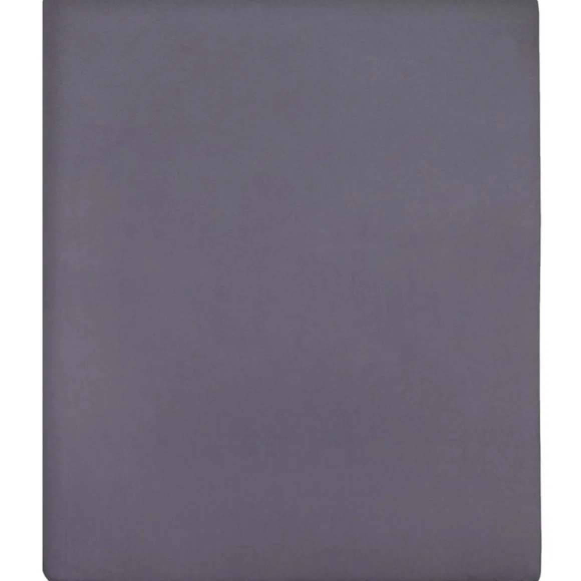 Drap-housse Jersey Anthracite 90x200 cm Coton