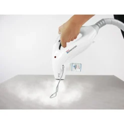 Désinfecteur vapeur Sani System Business