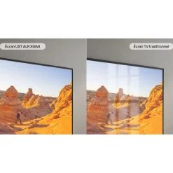 Ecran de projection projection ALR 100 pouces