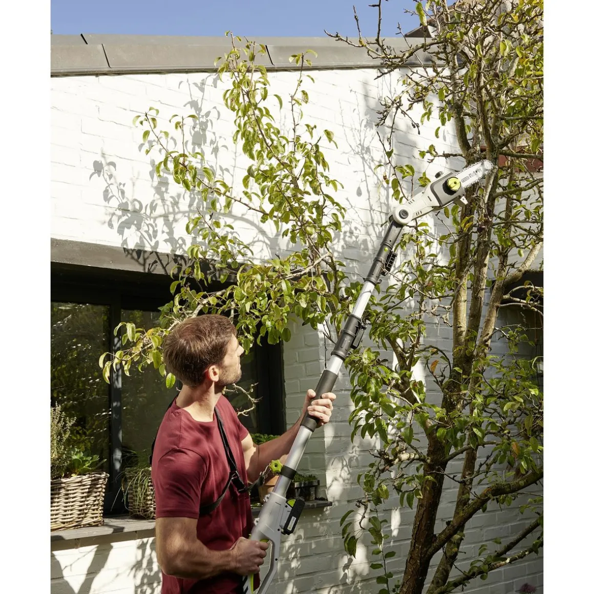 Elagueuse sur batterie - 20V