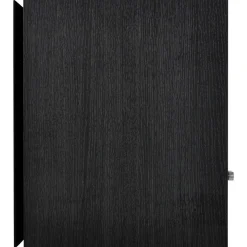 Enceinte bibliothèque Borea BR03 noire