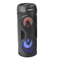 Enceinte Bluetooth Q1308