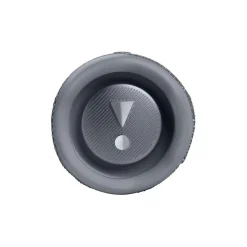 Enceinte portable Flip 6 Gris