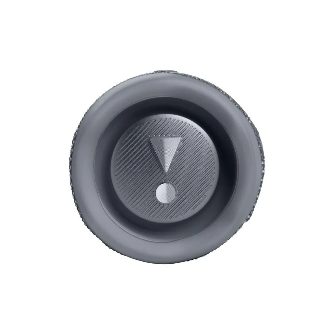 Enceinte portable Flip 6 Gris