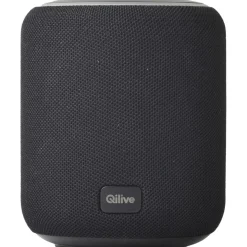 Enceinte portable Q1708 - Noire
