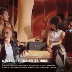 Enceinte résidentielle Stanmore III Noir