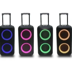 Enceinte sono PTB 500