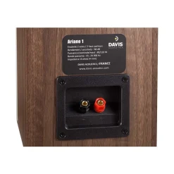 Enceinte surround ARIANE 1 Noyer x2