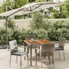 Ensemble a manger de jardin 5 pcs coussins gris resine tressee