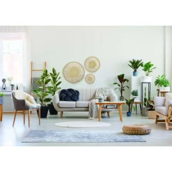 Ensemble de 3 décorations murales en roseau - Beige