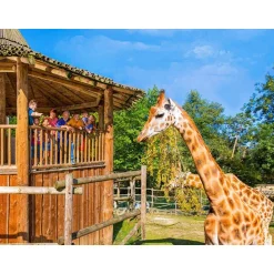 Entrée au Parc Bellewaerde en 2024 pour 2 adultes et 2 enfants - Coffret Cadeau Sport & Aventure