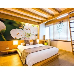 Escale gourmande : 2 jours avec dîner gastronomique et spa en hôtel 4* dans les Alpes - Coffret Cadeau Séjour