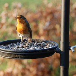 Esschert Design Mangeoire a oiseaux FB150