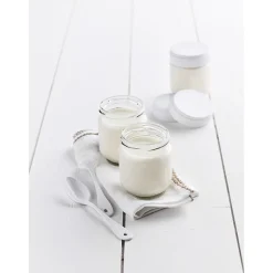 Ferments pour yaourt