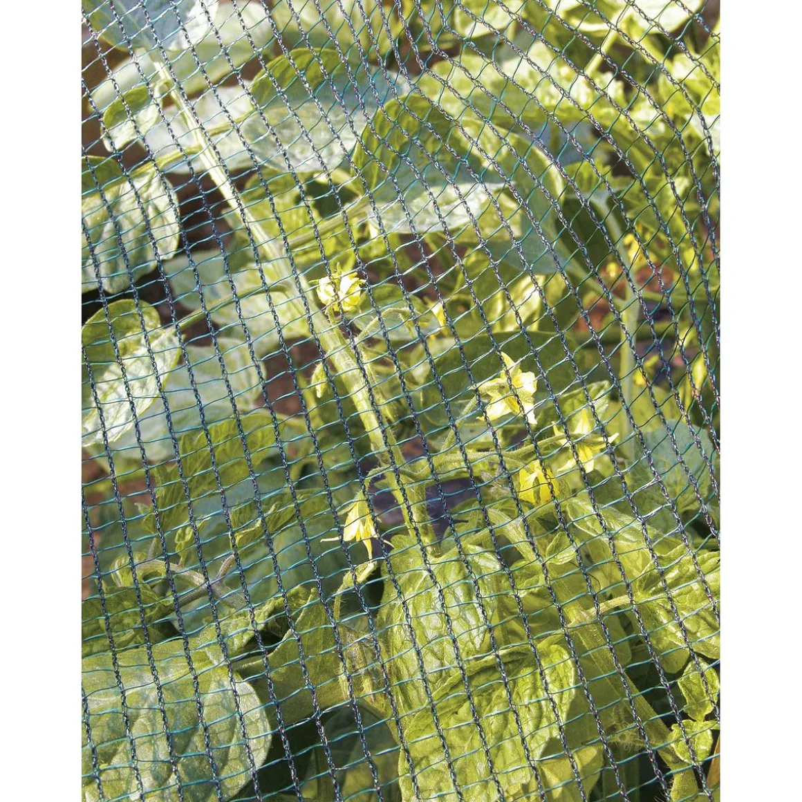 Filet de protection 2x10m