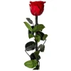 Fleur Artificielle Rose sur Tige 30cm Vert & Rouge
